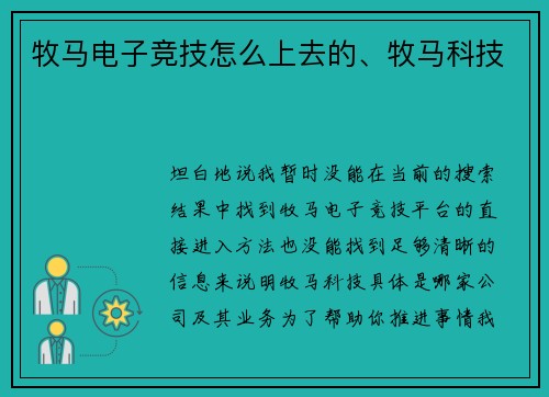 牧马电子竞技怎么上去的、牧马科技